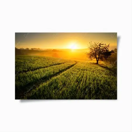 Póster amanecer dorado en laderas onduladas – Pixers®