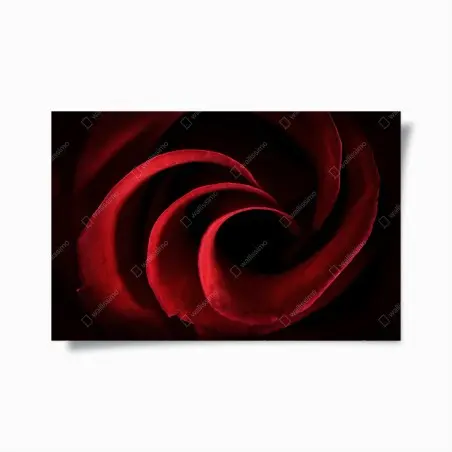 Póster espiral de pétalos rojos – Pixers®
