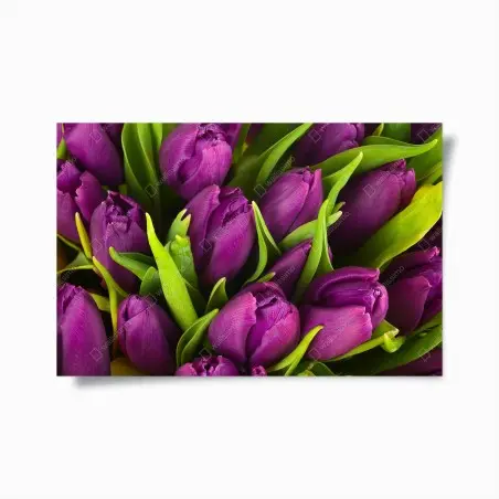 Póster ramo de tulipanes morados en primer plano – Pixers®