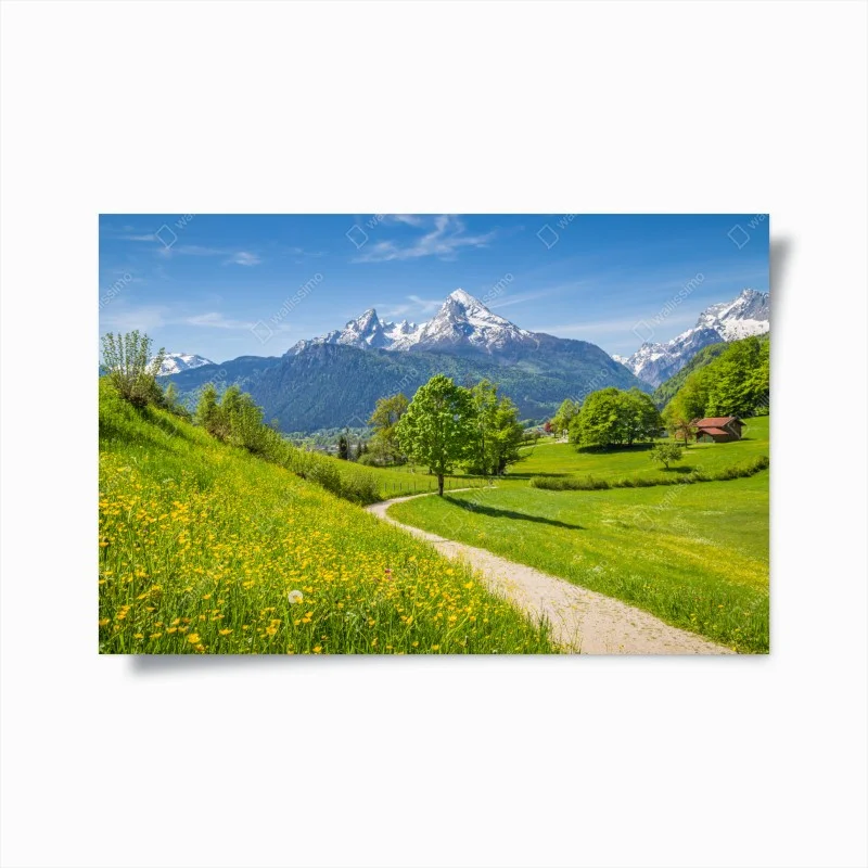 Póster paisaje alpino con sendero entre praderas floridas