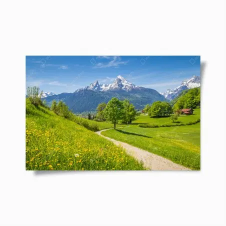 Póster paisaje alpino con sendero entre praderas floridas – Pixers®