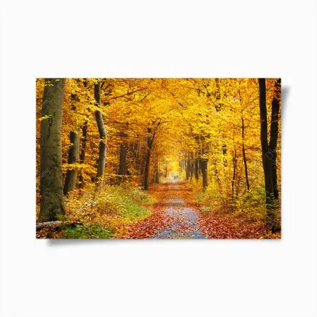 Póster camino otoñal entre árboles dorados – Pixers®