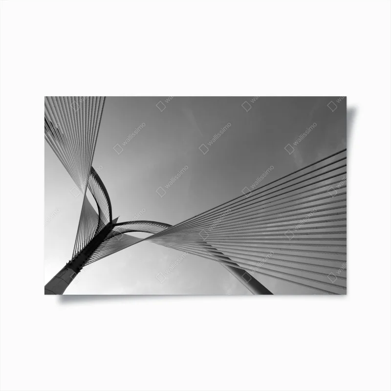 Póster arquitectura de líneas entrelazadas