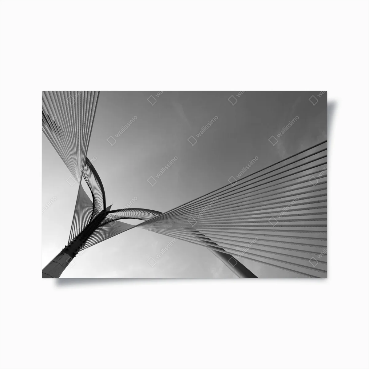 Póster arquitectura de líneas entrelazadas – Pixers® Póster arquitectura de líneas entrelazadas – Pixers®