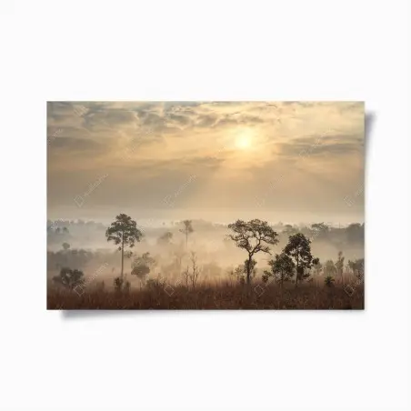 Póster amanecer en la sabana de Tailandia – Pixers®