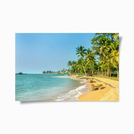 Póster playa tropical con palmeras y barcas – Pixers®