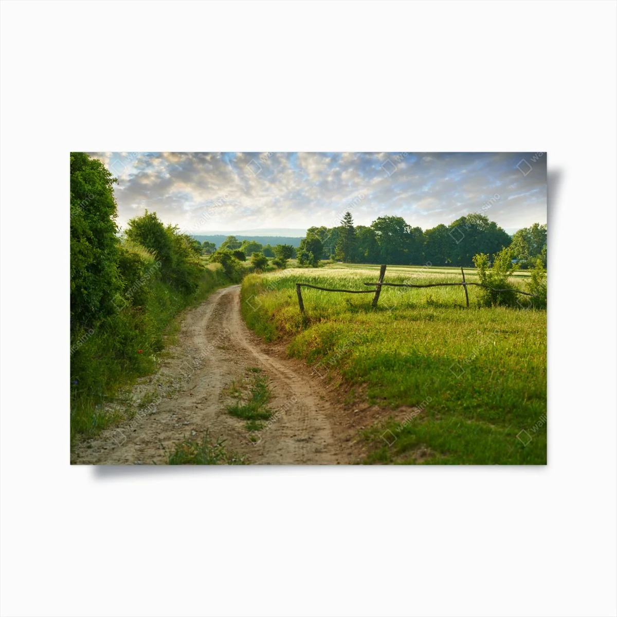 Póster camino rural entre prados al amanecer – Pixers® Póster camino rural entre prados al amanecer – Pixers®