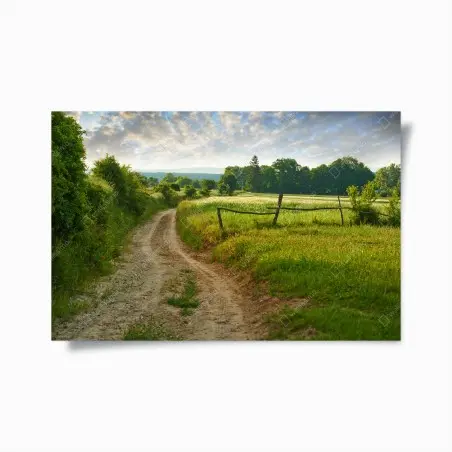 Póster camino rural entre prados al amanecer – Pixers®