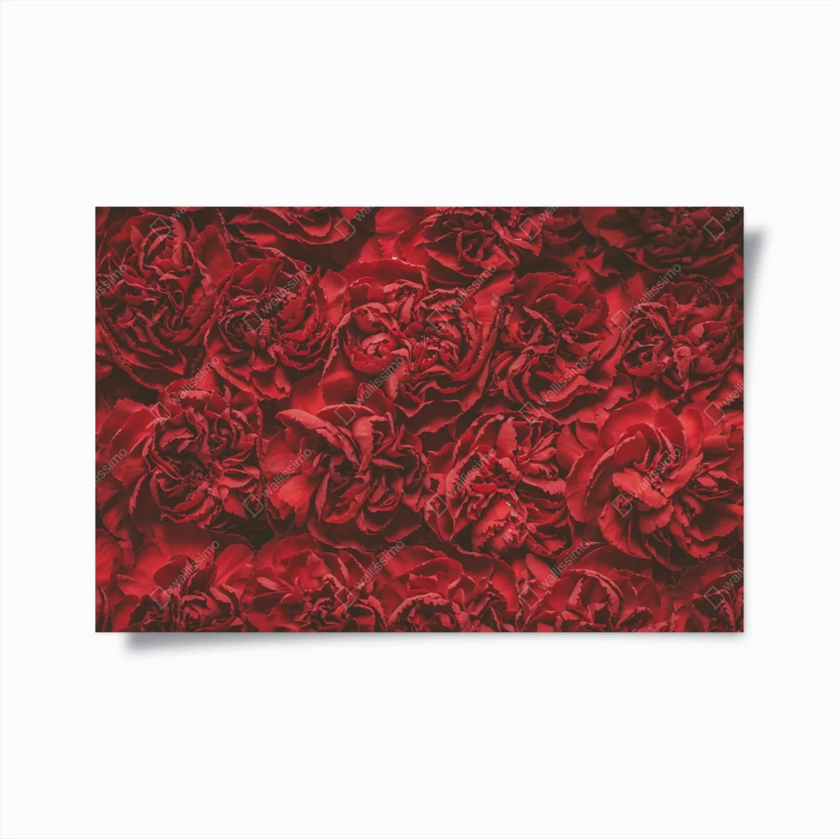Póster claveles rojos efecto retro para decoración – Pixers® Póster claveles rojos efecto retro para decoración – Pixers®