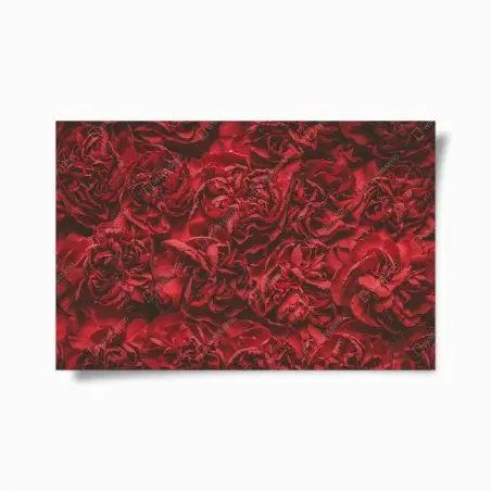 Póster claveles rojos efecto retro para decoración – Pixers®