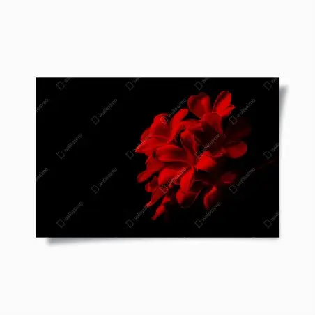 Póster plumeria roja en contraste dramático – Pixers®