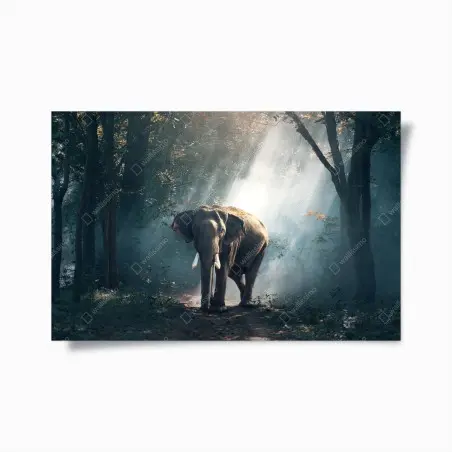 Póster elefante entre rayos de luz en el bosque – Pixers®