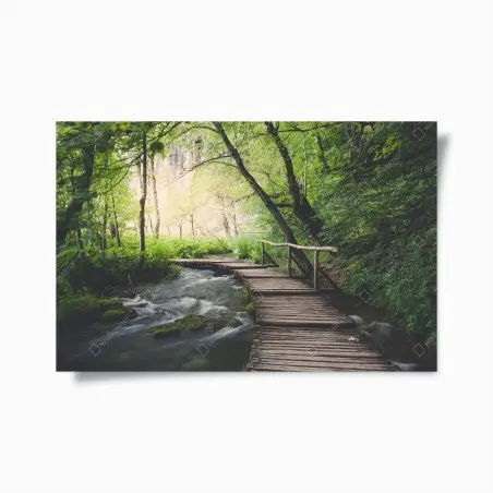Póster sendero de madera en bosque frondoso junto al río – Pixers®