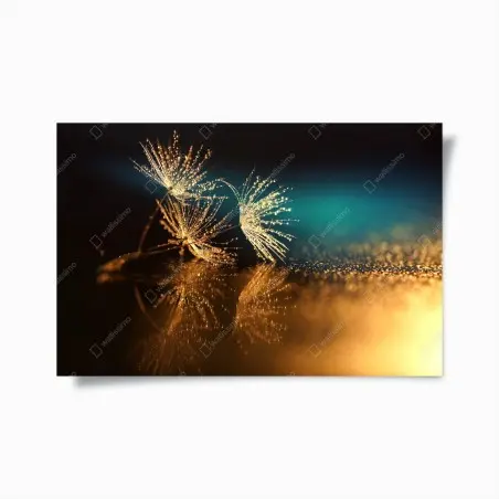 Póster reflejo dorado de semillas de diente de león – Pixers®