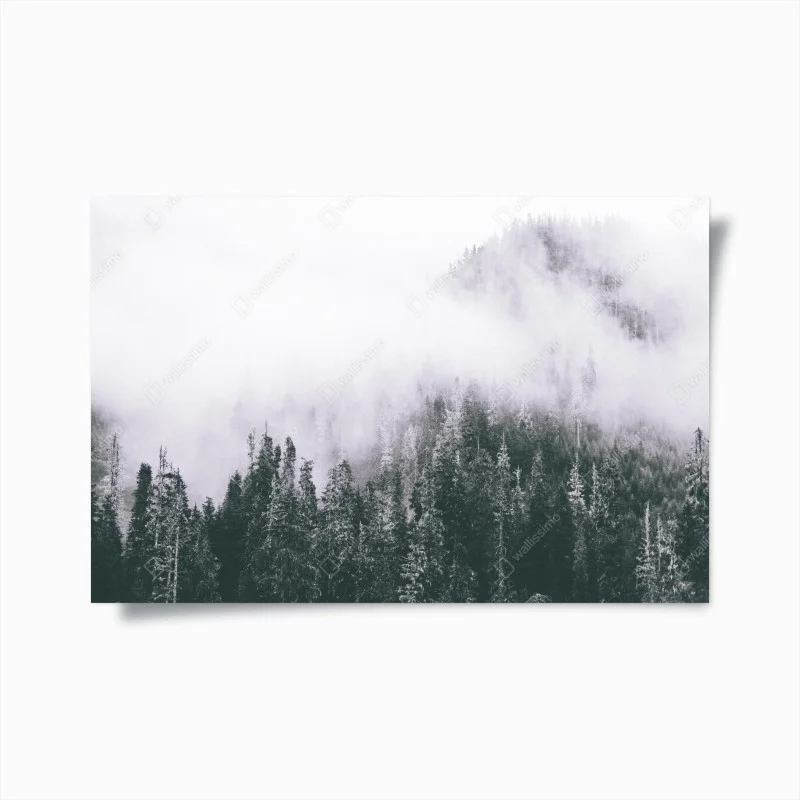 Póster bosque envuelto en niebla