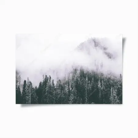 Póster bosque envuelto en niebla – Pixers®