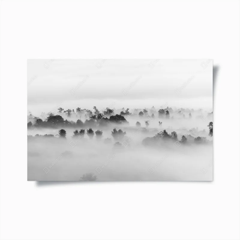Póster bosque entre niebla en blanco y negro