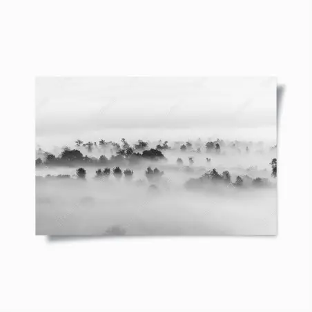 Póster bosque entre niebla en blanco y negro – Pixers®