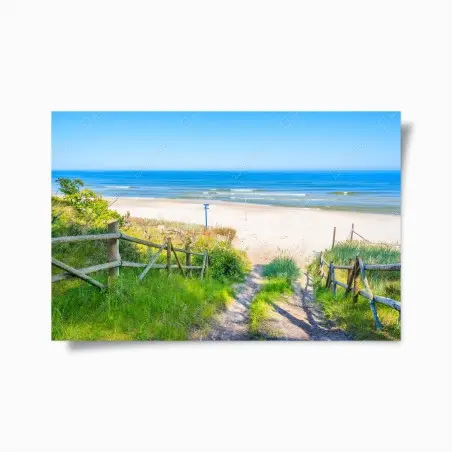 Póster sendero hacia la playa del Mar Báltico – Pixers®