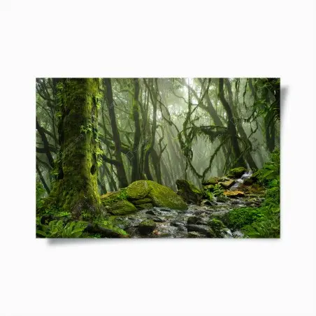 Póster bosque húmedo con arroyo entre rocas – Pixers®