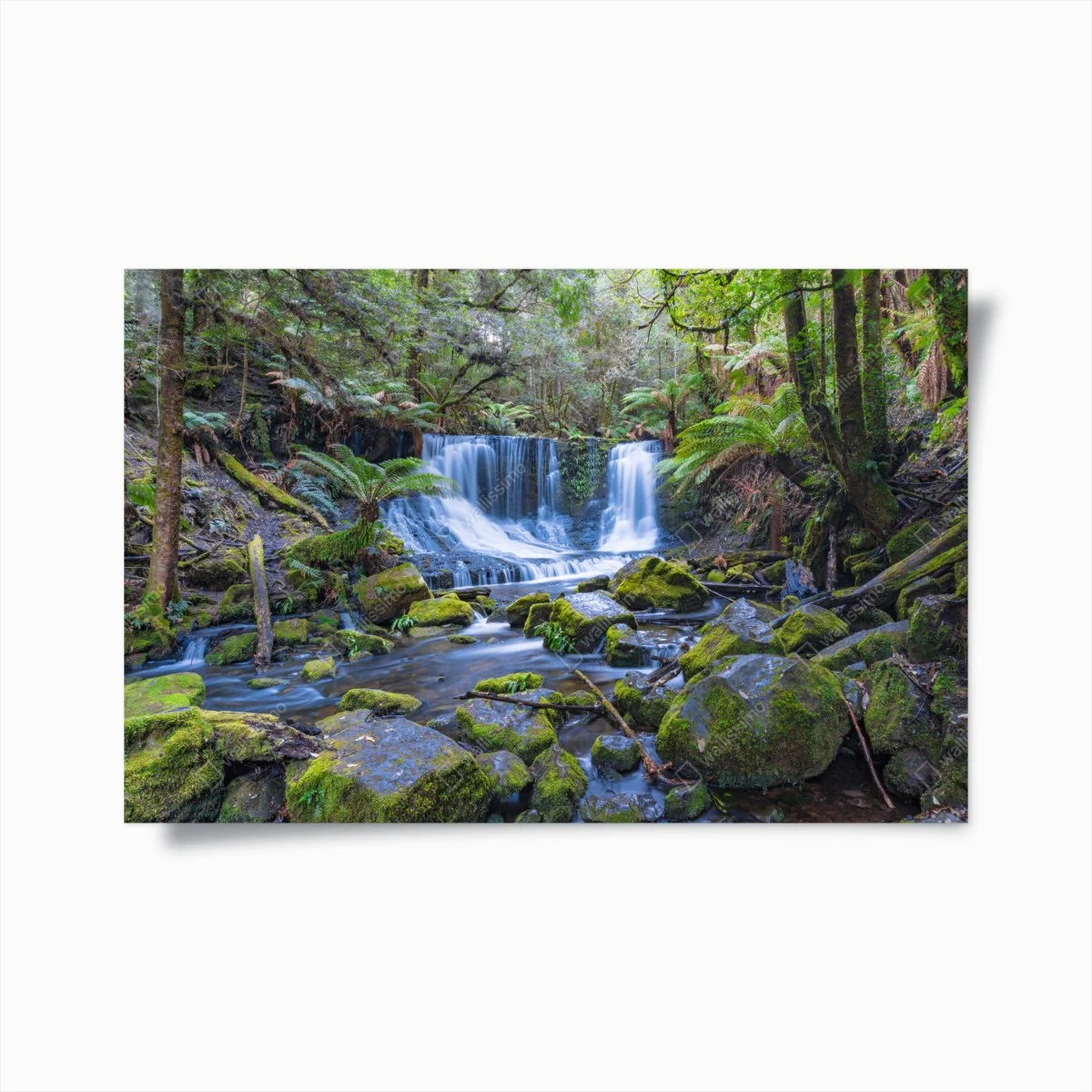 Póster cascada serena en bosque musgoso – Pixers® Póster cascada serena en bosque musgoso – Pixers®
