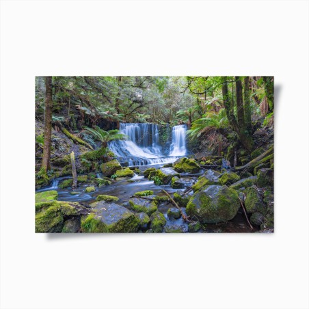 Póster cascada serena en bosque musgoso – Pixers®
