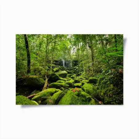 Póster refugio verde en la selva tropical – Pixers®