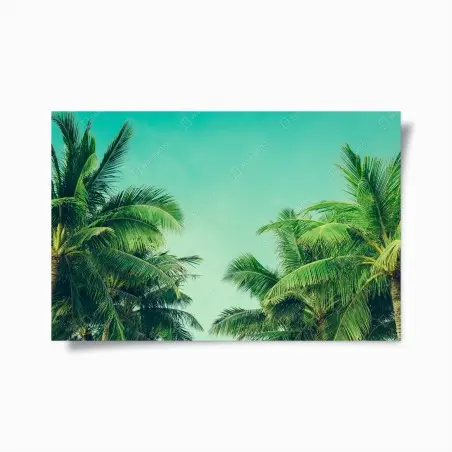 Póster escena tropical de palmeras y cielo turquesa – Pixers®