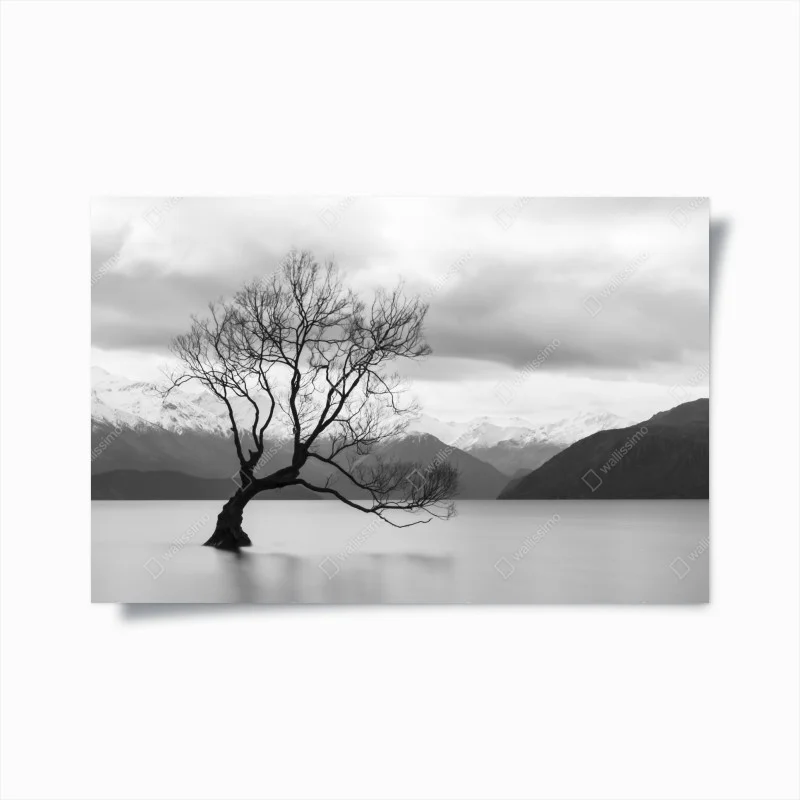Póster árbol solitario en el lago – Pixers® Póster árbol solitario en el lago – Pixers®