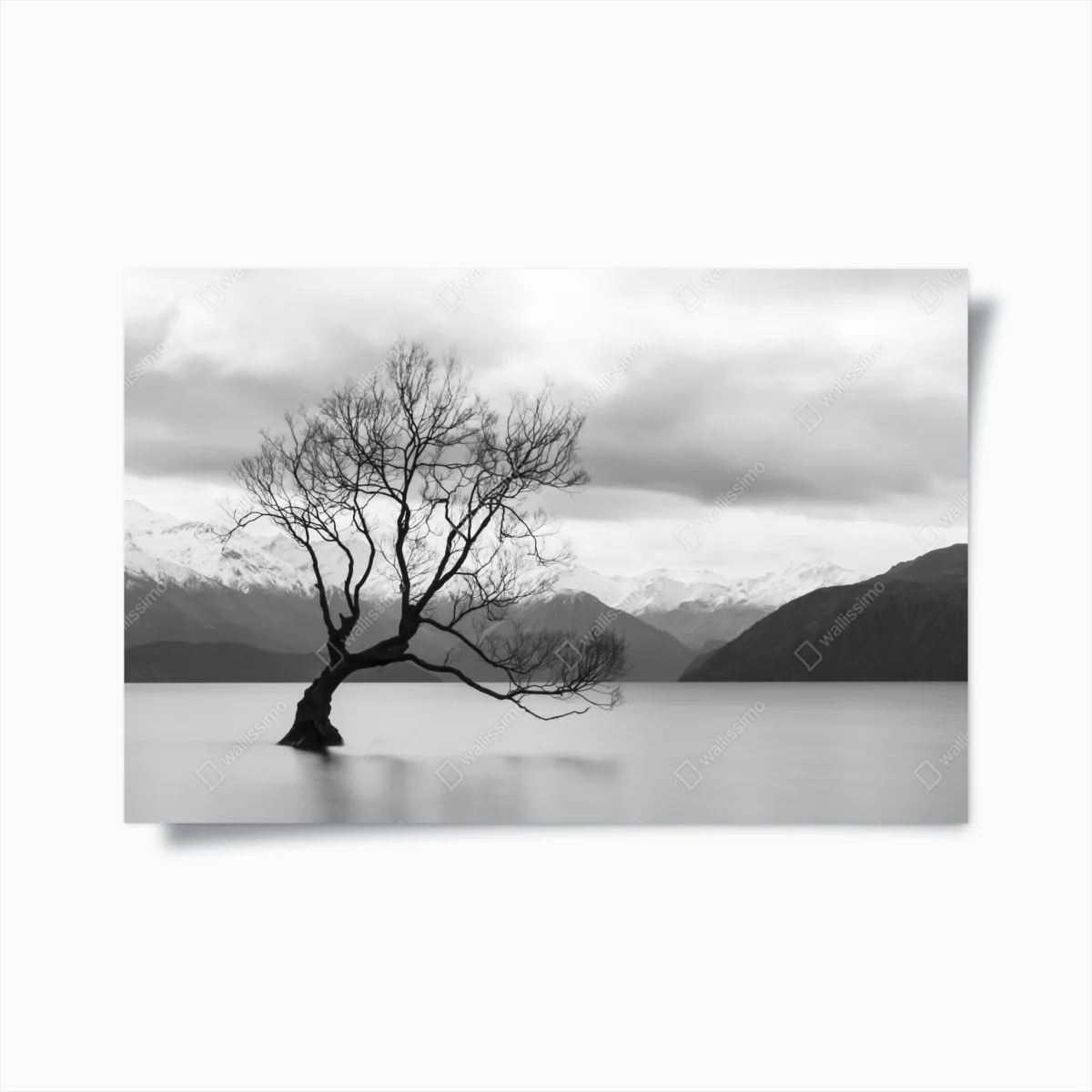 Póster árbol solitario en el lago – Pixers® Póster árbol solitario en el lago – Pixers®