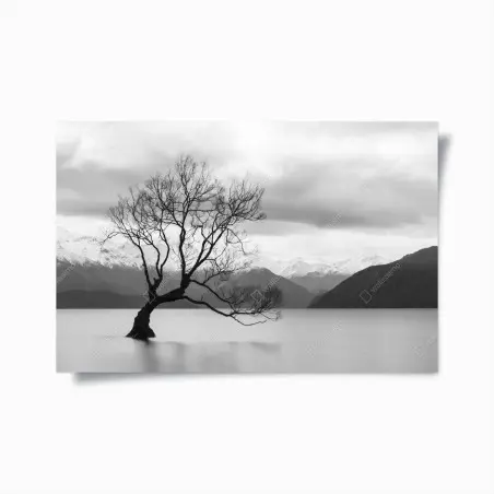 Póster árbol solitario en el lago – Pixers®