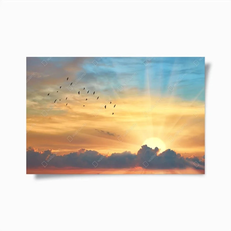 Póster amanecer dorado con aves en vuelo