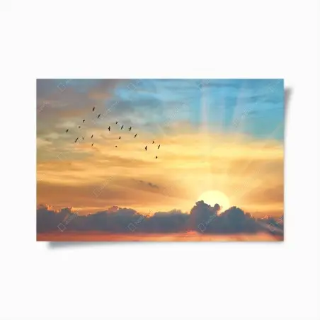 Póster amanecer dorado con aves en vuelo – Pixers®