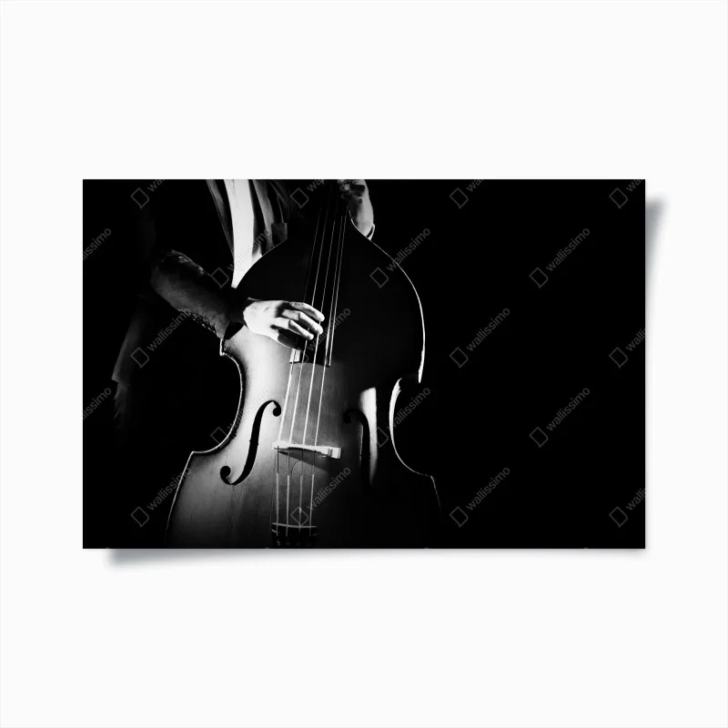 Póster elegancia del contrabajo en blanco y negro