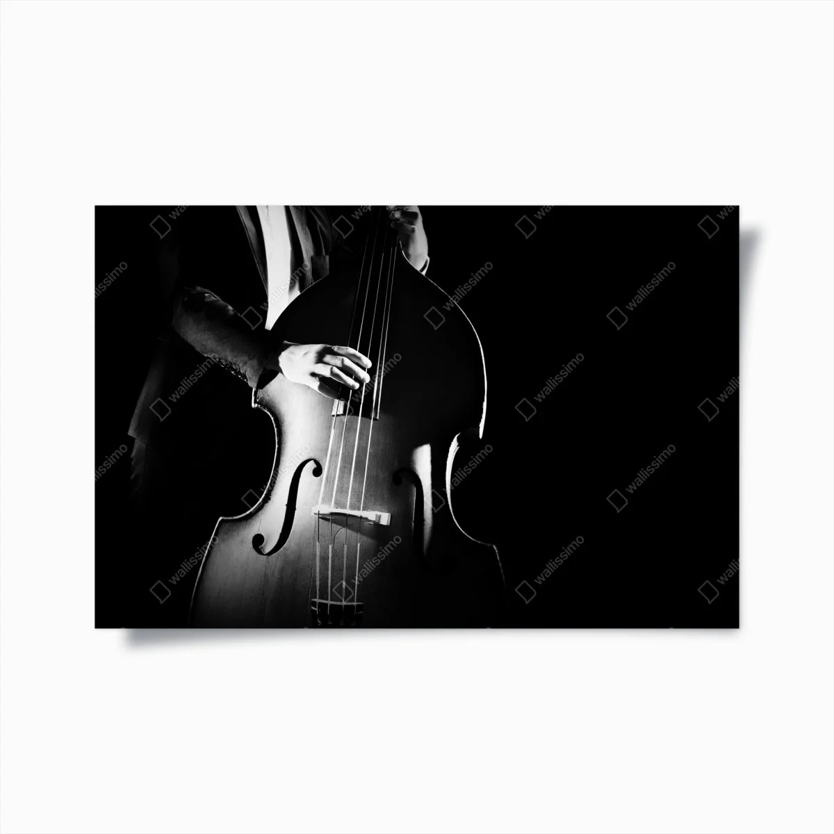 Póster elegancia del contrabajo en blanco y negro – Pixers® Póster elegancia del contrabajo en blanco y negro – Pixers®