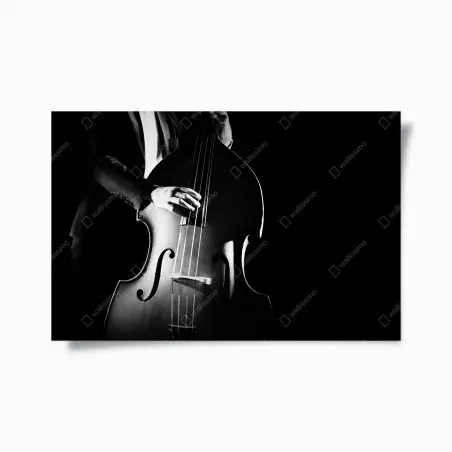Póster elegancia del contrabajo en blanco y negro – Pixers®