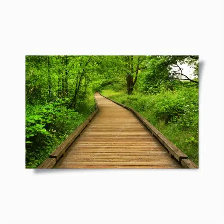 Póster sendero de madera entre árboles – Pixers®