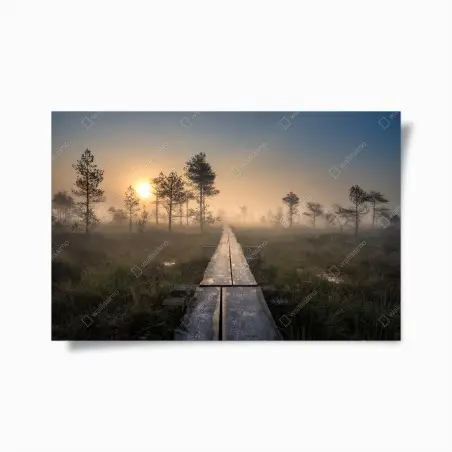 Póster amanecer en el sendero del pantano brumoso – Pixers®