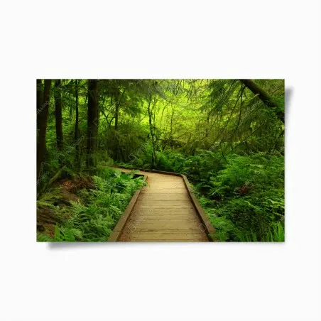 Póster sendero verde en bosque encantado – Pixers®