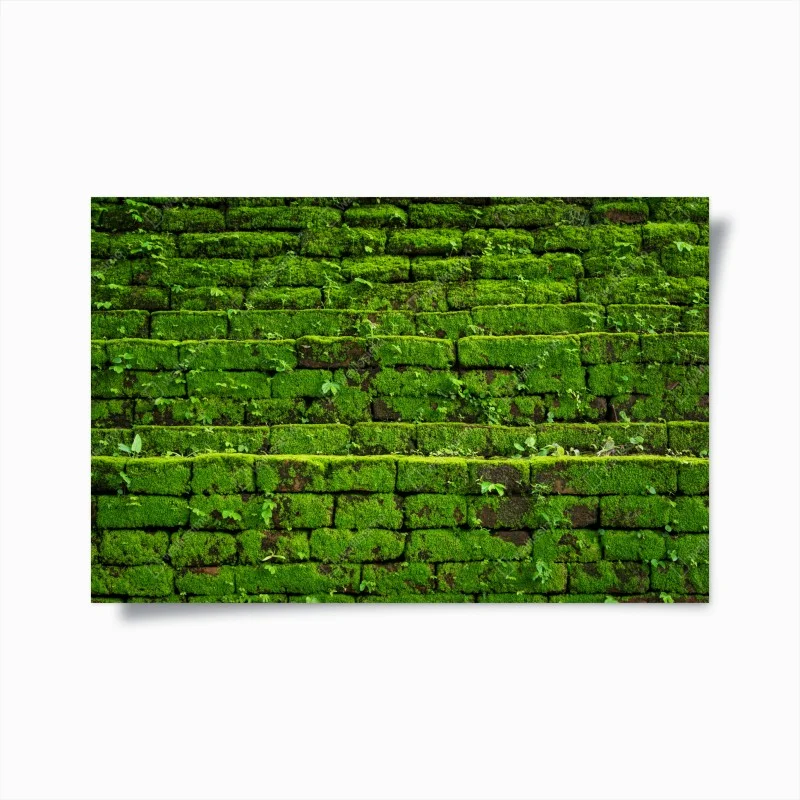 Póster muro verde cubierto de musgo rústico
