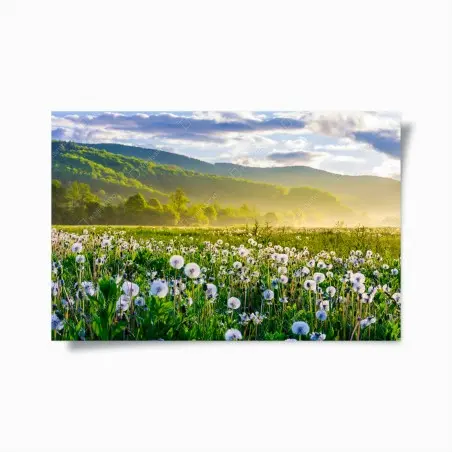Póster amanecer entre dientes de león en la montaña – Pixers®