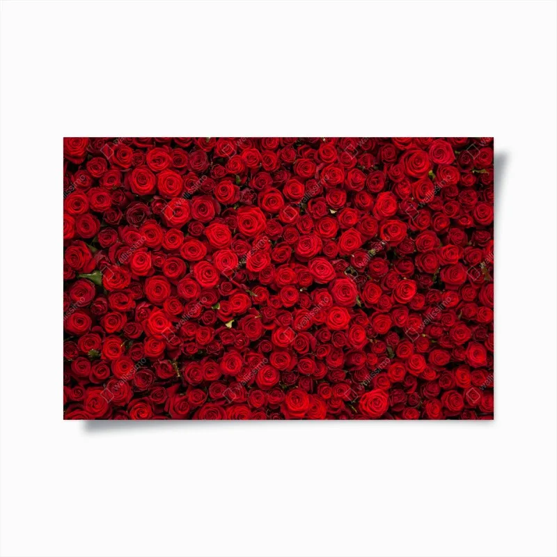 Póster tapiz de rosas rojas