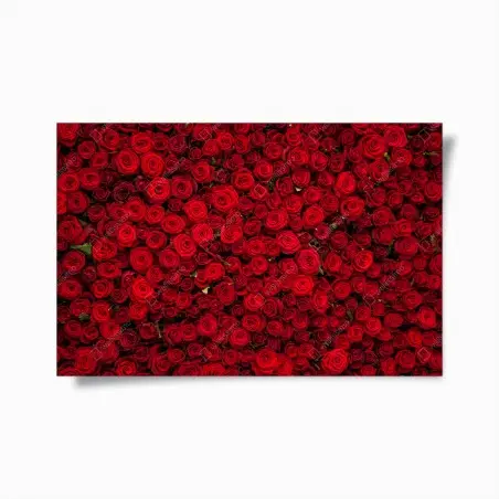 Póster tapiz de rosas rojas – Pixers®