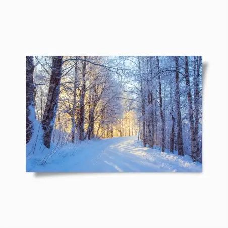 Póster camino nevado al amanecer en el bosque – Pixers®
