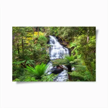 Póster cascada serena en Triplet Falls, Great Otway National Park – Pixers®