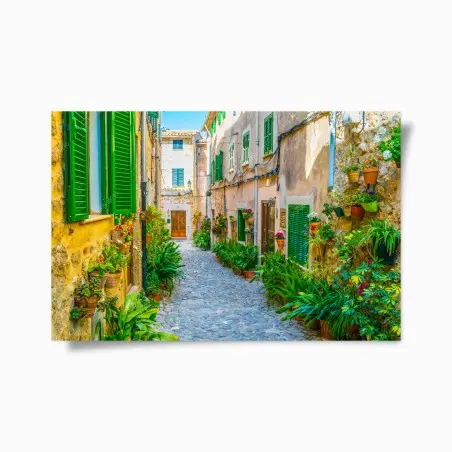 Póster calle empedrada con macetas y persianas verdes – Pixers®