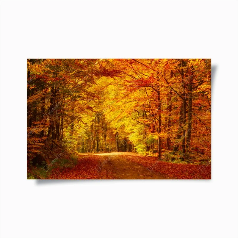 Póster bosque otoñal en tonos dorados