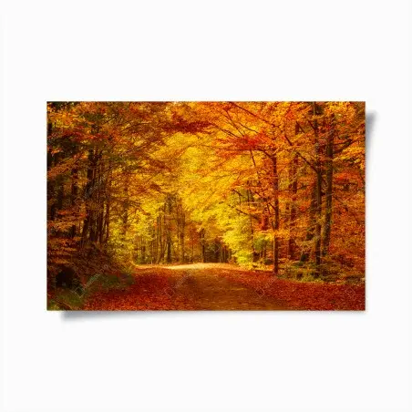 Póster bosque otoñal en tonos dorados – Pixers®