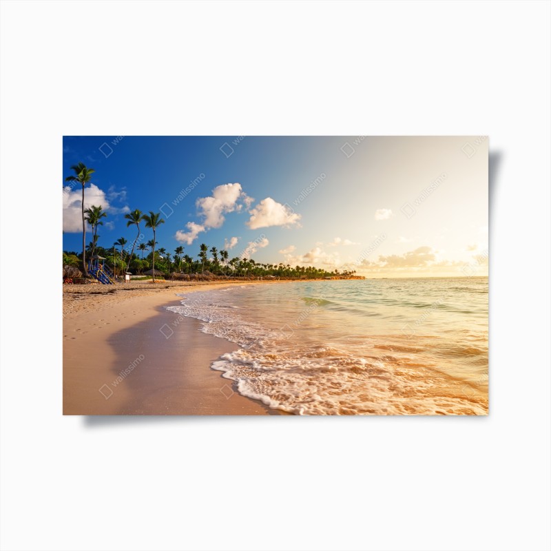 Póster puesta de sol tropical con palmeras