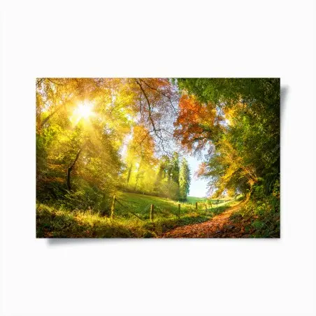 Póster camino dorado de otoño entre los árboles – Pixers®
